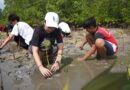 Coral Triangle Center Meluncurkan Adopt-A-Mangrove untuk Mengurangi Dampak Perubahan Iklim dan Memulihkan Ekosistem Mangrove di Kawasan Konservasi (KK) Nusa Penida